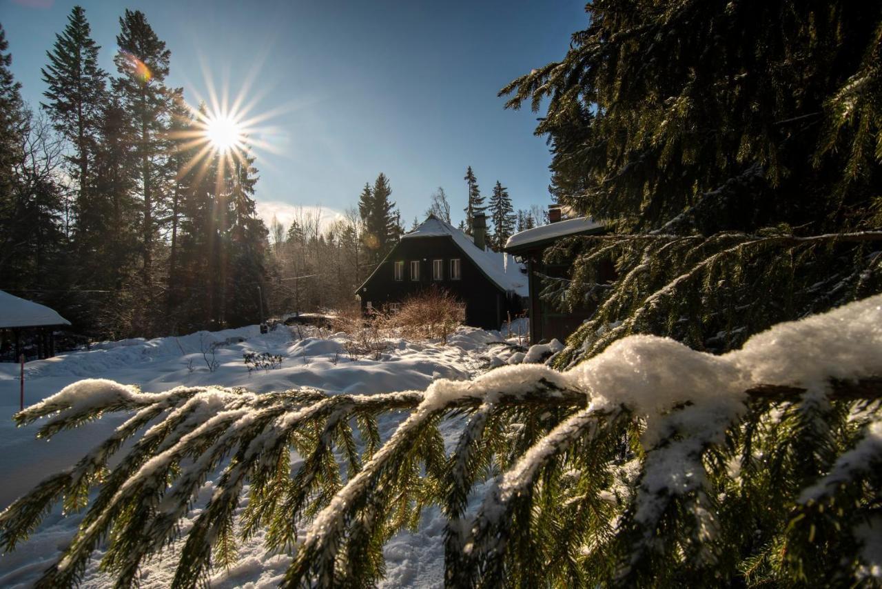 Willa Anna Sklářská Poruba Exteriér fotografie